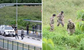 The police received a call at about 11pm on may 10 ask. Man Dies After Being Stabbed At Punggol Field In Suspected Murder Cries For Help Heard