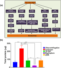 All specimens must be delivered to the laboratory within 4 hours of collection. Comparative Analysis Of Exosome Isolation Methods Using Culture Supernatant For Optimum Yield Purity And Downstream Applications Scientific Reports X Mol