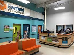 Experience petcare made easy with an optimum wellness plan®. Vet In Sacramento Ca Arden Watt Banfield Pet Hospital