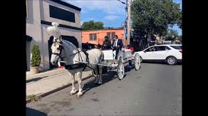 Horse Drawn Caisson Stratford Funeral Home Staten Island Ny August 1 2020 In 2020 Horse Drawn Horse Carriage Horses
