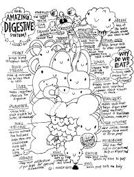 Digestive System Coloring Page Anatomy Coloring Book Human Body Systems Human Digestive System