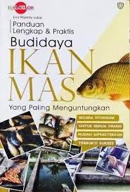 Raba disukai ikan sebagai tempat berkumpul atau bersembunyi. Panduan Budidaya Ikan Mas Jenis Ikan Mas Gramedia Com