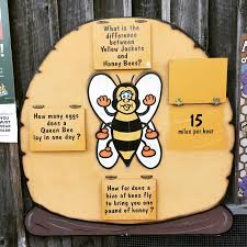 How far will worker bees travel for food? Dc Bee Beitrage Facebook