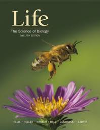 Biochemistry A Short Course 4th Edition Pdf Reddit Life The Science Of Biology 12th Edition Macmillan Learning For Instructors