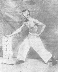 Iron Palm By Gu Ruzhang The South Bound Tiger Chinese Martial Arts Martial Arts Marshal Arts