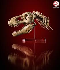 Check spelling or type a new query. Artstation 3d Printed Dinosaur Skull And Neck Tyrannosaurus Dinoreplicas 3d Model Works