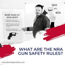 Image result for Gun Safety