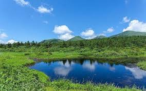 Image result for Hakkoda Walk