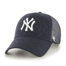 Is gray paint going out of style. 22 New York Yankees Cap Ideas Yankees Cap New York Yankees Yankees