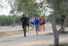 It has race tracks with lengths 3km, 6 km, and 11 km that are extensive to even 15 km. Al Marmoom Ultramarathon The World S Longest Desert Ultra Run