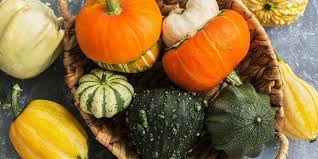 A zucchini was peeled and cut into six identical cubes. Top Health Benefits Of Squash How To Prepare And Eat It Lavista Norcross Clinic