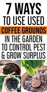 Are coffee grounds safe to use in the garden? Pin By Eisseb Vdd On Gardening In 2020 Uses For Coffee Grounds Home Vegetable Garden Coffee Grounds