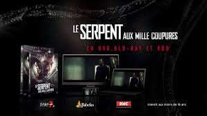 Un motard blessé quitte les lieux d'un carnage. Le Serpent Aux Mille Coupures Home Facebook