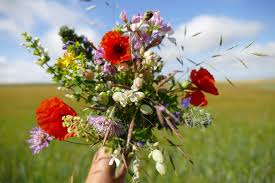 L'incontournable bouquet jours de printemps ! Fleurs Sauvages Et Cultivees Ferme Les Messicoles