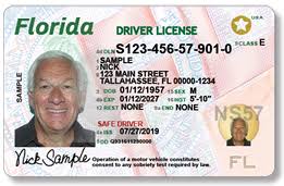 Drivers Licenses In The United States Wikipedia