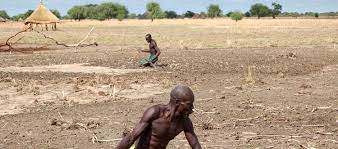 New Nation New Famine