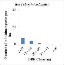 Image result for Acacia pilispina