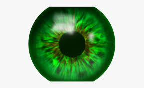 Eyeball Clipart Green Eye Eyeball Green Eye Transparent Free For Download On Webstockreview 2020 Find & download free graphic resources for eye lens. eyeball clipart green eye eyeball
