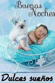 Pin By Yamille On Buenos Dias Buenas Noches Good Night Good Night Wishes Good Morning