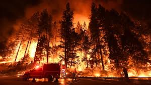 Image result for california's deadly carr wildfire