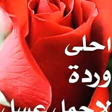 يمكنك من هنا ان تجد او تجدي رسالة المساء المميزة جداً التي تعبر عما في قلبك من حب وشوق لمن تحب في رسائل مساء والورد والياسمين ومشاركتها مع جميع الاهل والاصدقاء على مواقع التواصل الاجتماعية. Ù…Ø³Ø§Ø¡ Ø§Ù„ÙˆØ±Ø¯ ÙˆØ§Ù„ÙŠØ§Ø³Ù…ÙŠÙ† Ø§Ø­Ù„Ù‰ Ù…Ø³Ø§Ø¡ Ù„Ø§ØºÙ„Ù‰ Ø§Ù„Ù†Ø§Ø³ Ø¹Ù„Ù‰ Ø§Ù„Ù‚Ù„Ø¨ ÙƒÙŠÙˆØª