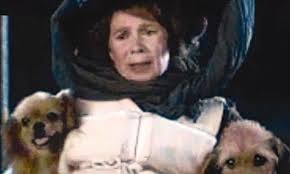 Women And Pets First There Was A Menagerie Of Animals Aboard The Titanic But Their Chances Of Survival Depended Entirely On Their Pedigree Pets First Pets Animals