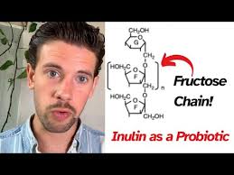 Microbes and the Microbiome