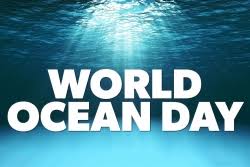 These ocean animals agree that it's time to take action for the world's oceans. World Ocean Day Geographical Magazine
