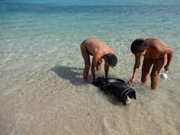 The nudist movement grew very quickly becoming a mass movement. Nudism Is Naturism Living Without Wearing Clothes