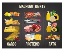 In addition, all of these nutrients provide your body with energy measured in the form of calories or kcals. What Are Macronutrients And Why Are They So Important In Strength Training Straight Fitness
