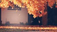 Snowflakes fall between two christmas trees. Falling Leaves Gifs Get The Best Gif On Gifer