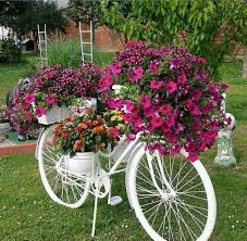Cheap Decor Accessories Tray Saleprice 37 Small Front Yard Landscaping Garden Art Plants