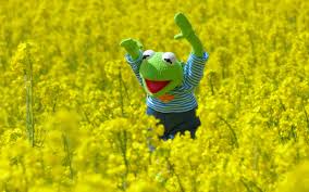 Free download heart wallpaper meme kermit 750×924 for your. Kermit The Frog Desktop Wallpapers Wallpaper Cave