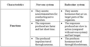 Solved Compare And Contrast The Nervous And Endocrine Systems P Chegg Com