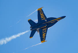 Image result for Blue 1969 Fleet