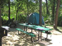 Located just northwest of tampa, florida, encore's silver dollar rv resort guests also enjoy the exciting attractions, shopping and dining in nearby tampa and tarpon springs. Ocala National Forest Camping Cabins