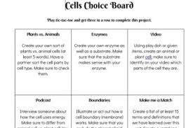 Use This Choice Board To Assess What Your Students Have Learned In Their Cells Unit It Includes Macromolecules Animal Pl Biology Units Choice Boards Biology