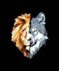 10 Best Lion And Wolf Tattoo Ideas Petpress Wolf Tattoos Lion Art Wolf Tattoo