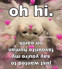 32 I Love You Memes To Share With Your Sweetheart The Funny Beaver In 2020 Love You Meme Love Memes For Him Cute Memes