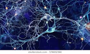 Image result for neuron