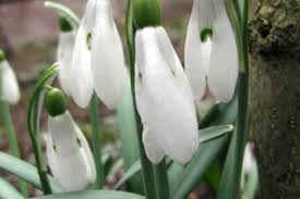 Ezt a szöveget nyugodtan kitörölheted és a helyére írhatod az új oldalad tartalmát. Nepujsag