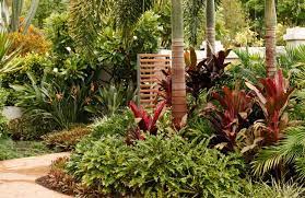 Tropical Garden Ideas Brisbane Ideas Design 512709 Decorating Ideas Najaca Com Tropical Landscape Design Tropical Garden Tropical Landscaping
