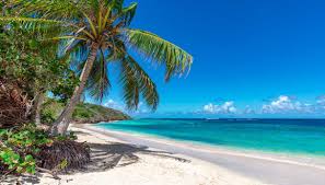 Circondata dal mare turchese e costantemente baciata dal sole, aruba ospita ampie spiagge di sabbia bianca e panorami mozzafiato. Le 9 Foto Che Vi Faranno Innamorare Di Aruba Siviaggia