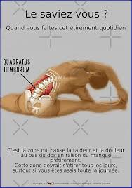 Les douleurs du bas du dos, comme le mal aux reins, peuvent avoir de multiples origines important : Planches Musculo Squelettique Sur Les Mouvements De Yoga Avec Les Bienfaits Decouvrez Des Millions D En 2020 Etirement Musculation Mouvements De Yoga Yoga Position