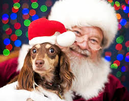 Explore Norwin this holiday season: Shops, restaurants and more