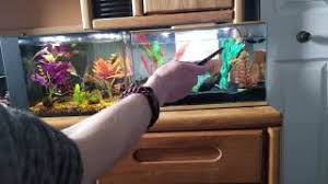 Top fin bettaflo soothe betta update. Top Fin Bettaflo Ease Update