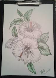Artă cu acrilice acuarele cu flori proiecte artizanale. Pictura Si Grafica De Pictor Mihaela Grosan Desen In Creioane Acuarelabile Cu Florii De Gradina Urban Style A4