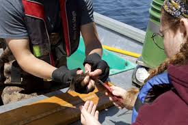 Seeing Science Through a New Lens: Meet Maddie, Trout Lake Station's Summer  Science Communication Intern