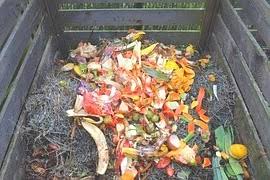 Why harvest a peat bog just to make castings when the best vermicompost comes from worms fed thermophilic compost? Worm Castings Vs Bat Guano Vs Compost Vs Chemical Fertilizers Vs Manure Vs Chicken Manure Dirt Dynasty Llc Slinger Wisconsin