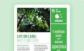 Forests Desertification And Biodiversity United Nations Sustainable Development
